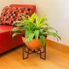 Jane II Planter- Burnt Sienna Bowl